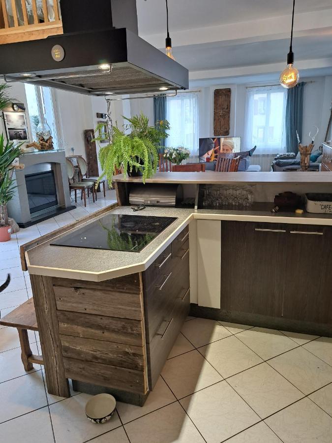 Gite Redrooster Home - 160M2, 4 Ch, 2 Sdb, Fibre, Parking, Sauna, Bain A Remous Theys Екстер'єр фото